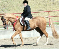 emir